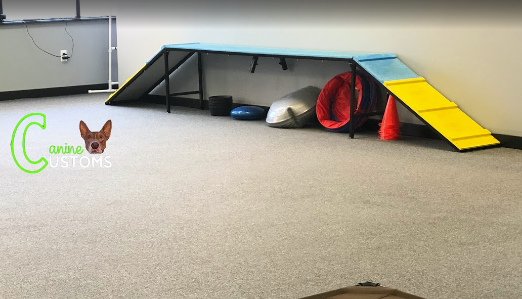 agility (1)