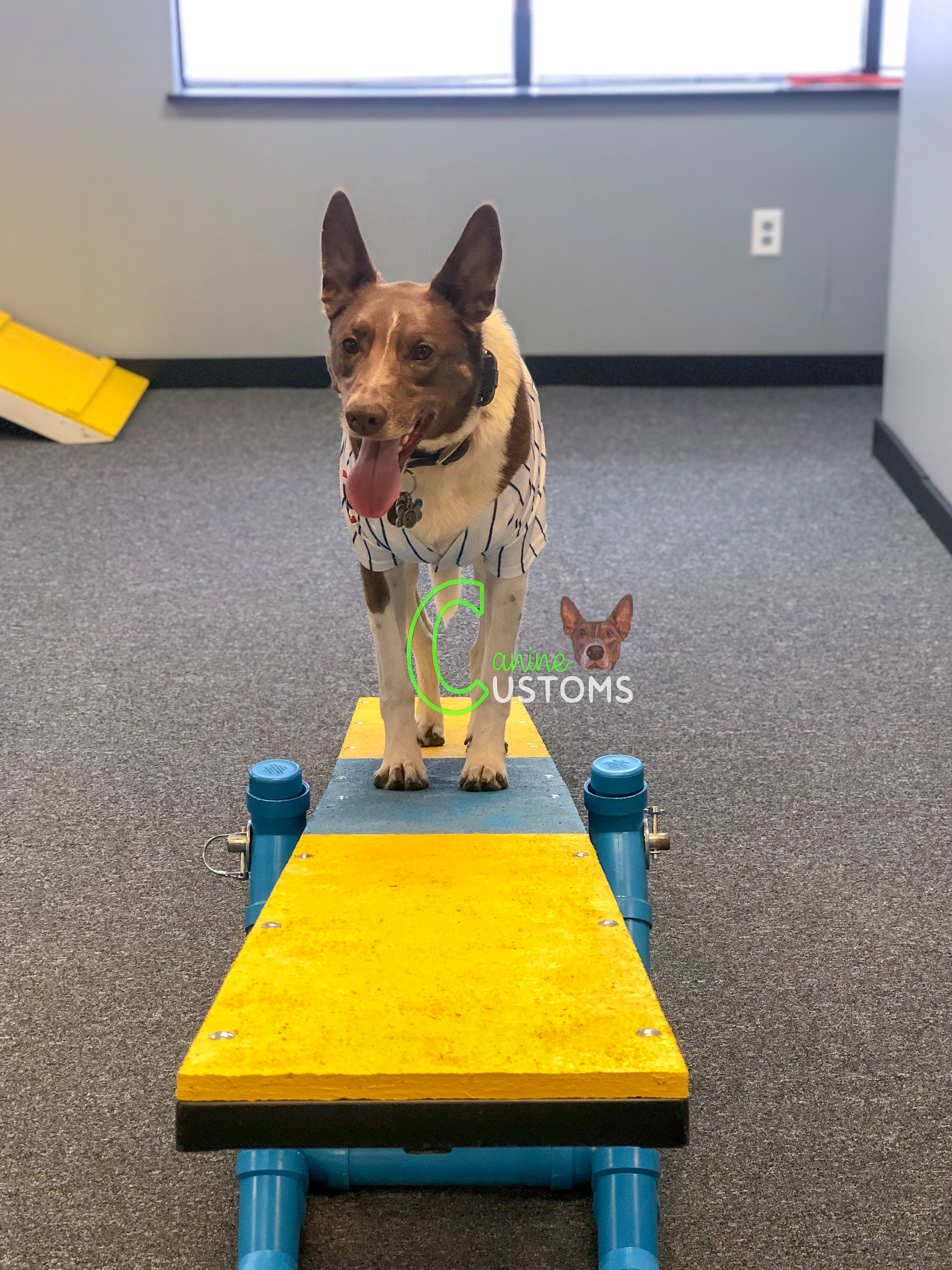 agility (13)
