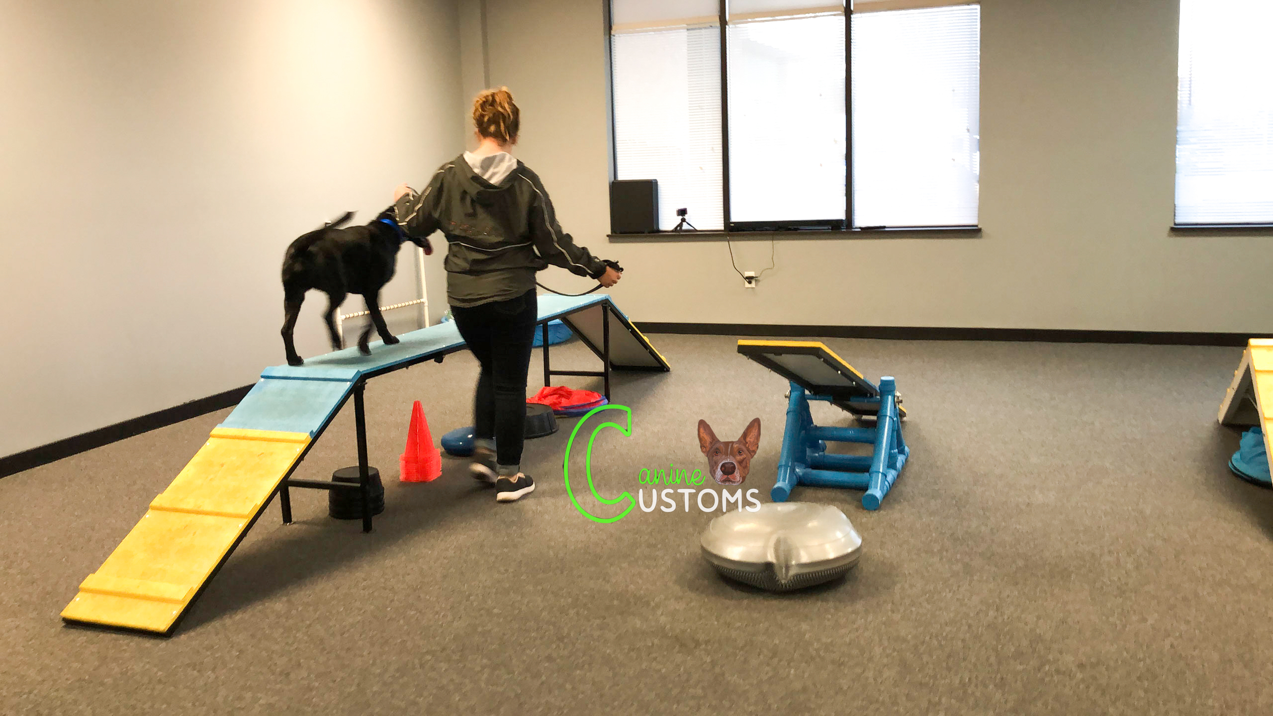 agility (15)