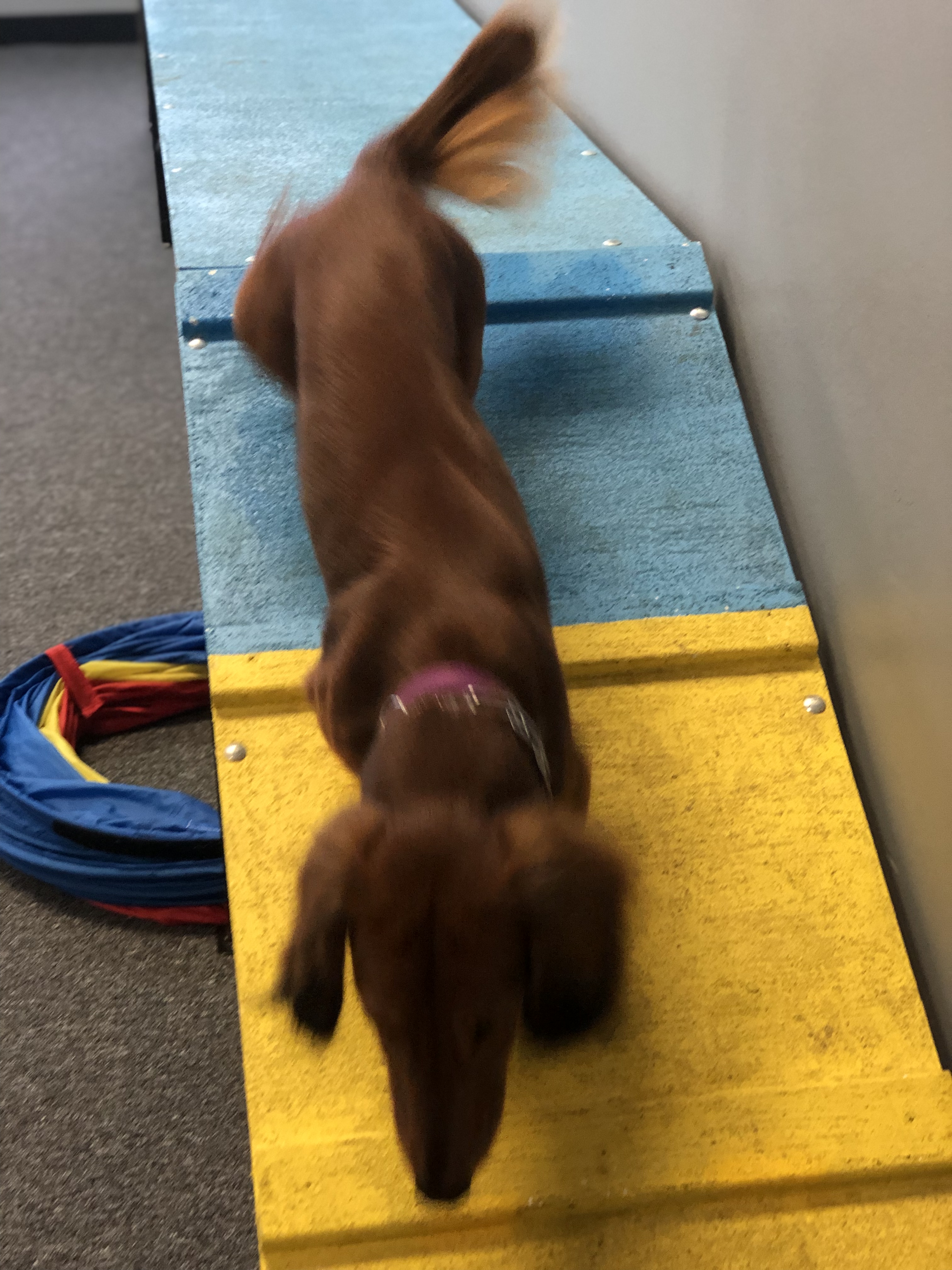 agility (17)
