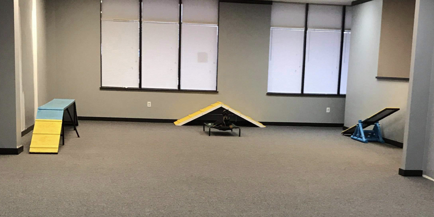 agility (18)