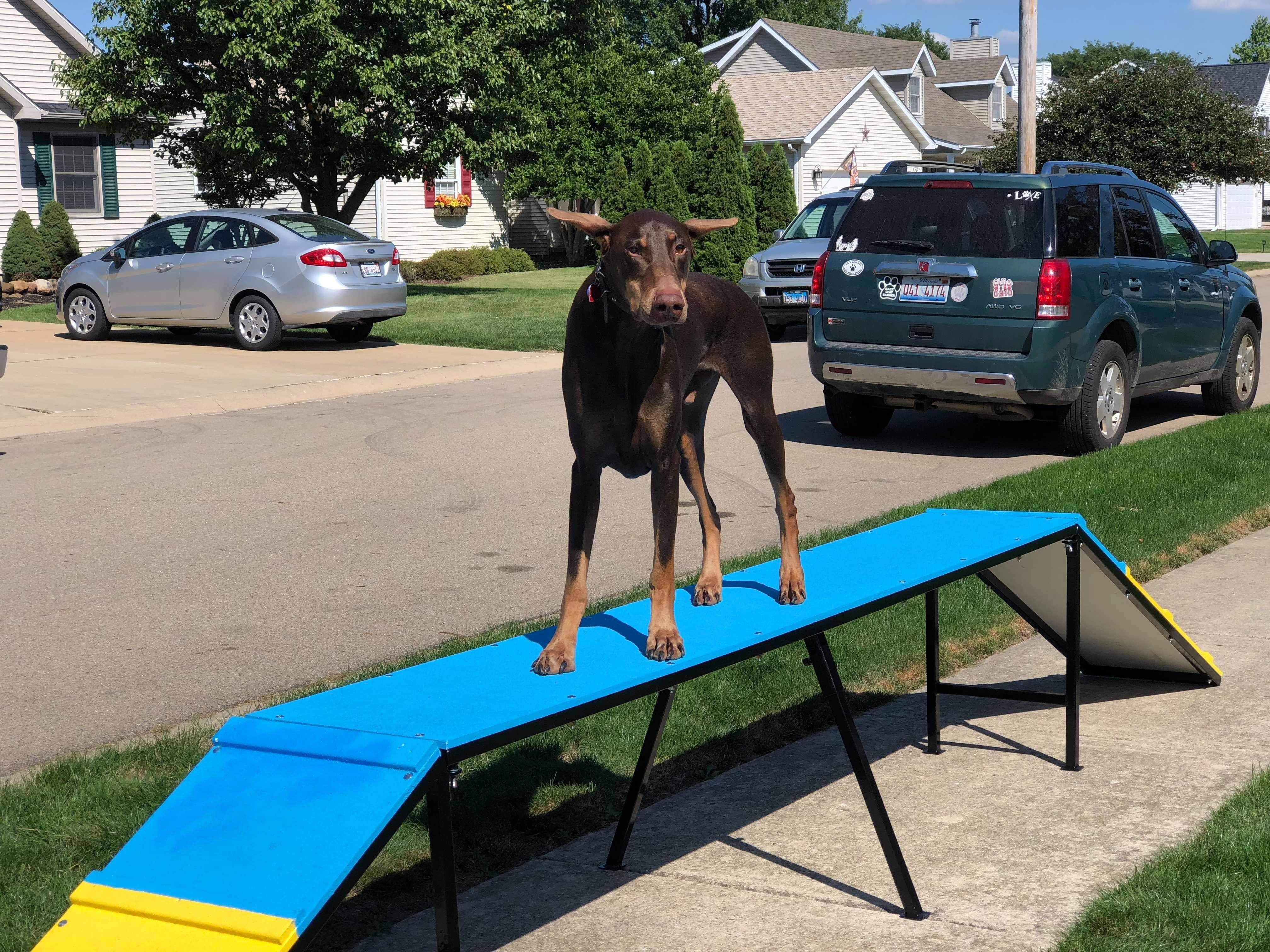 agility (19)