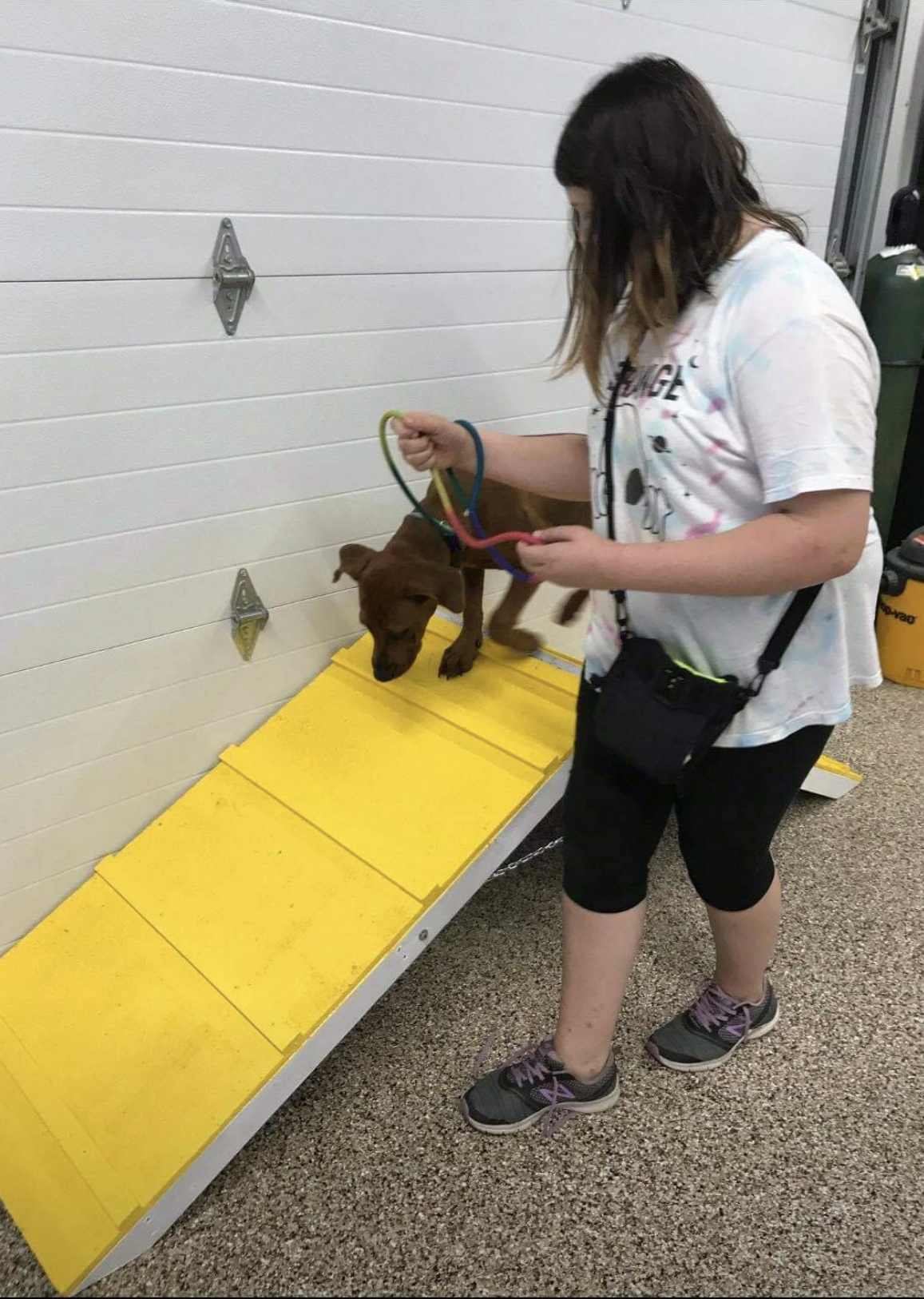 agility (28)