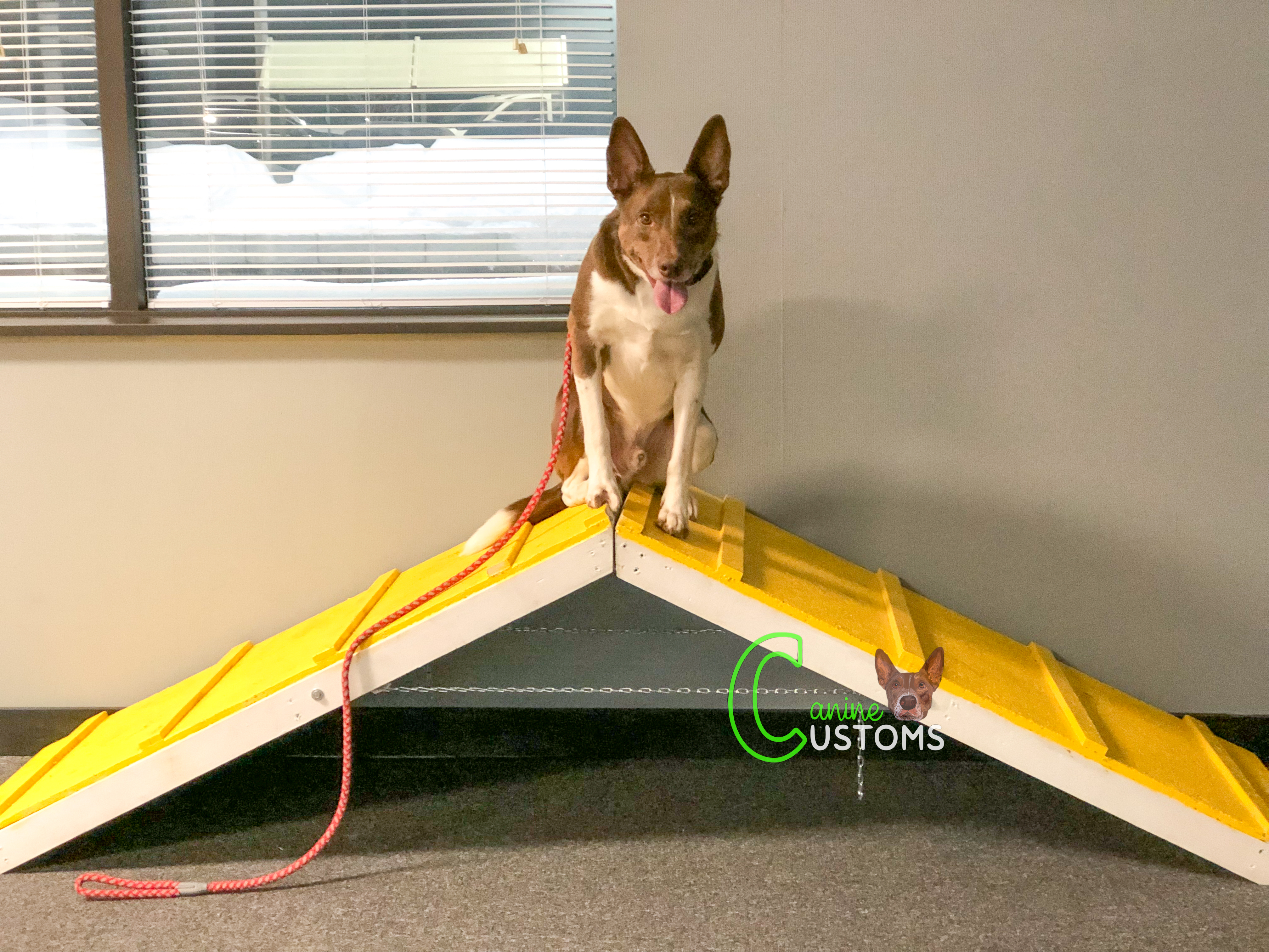 agility (29)