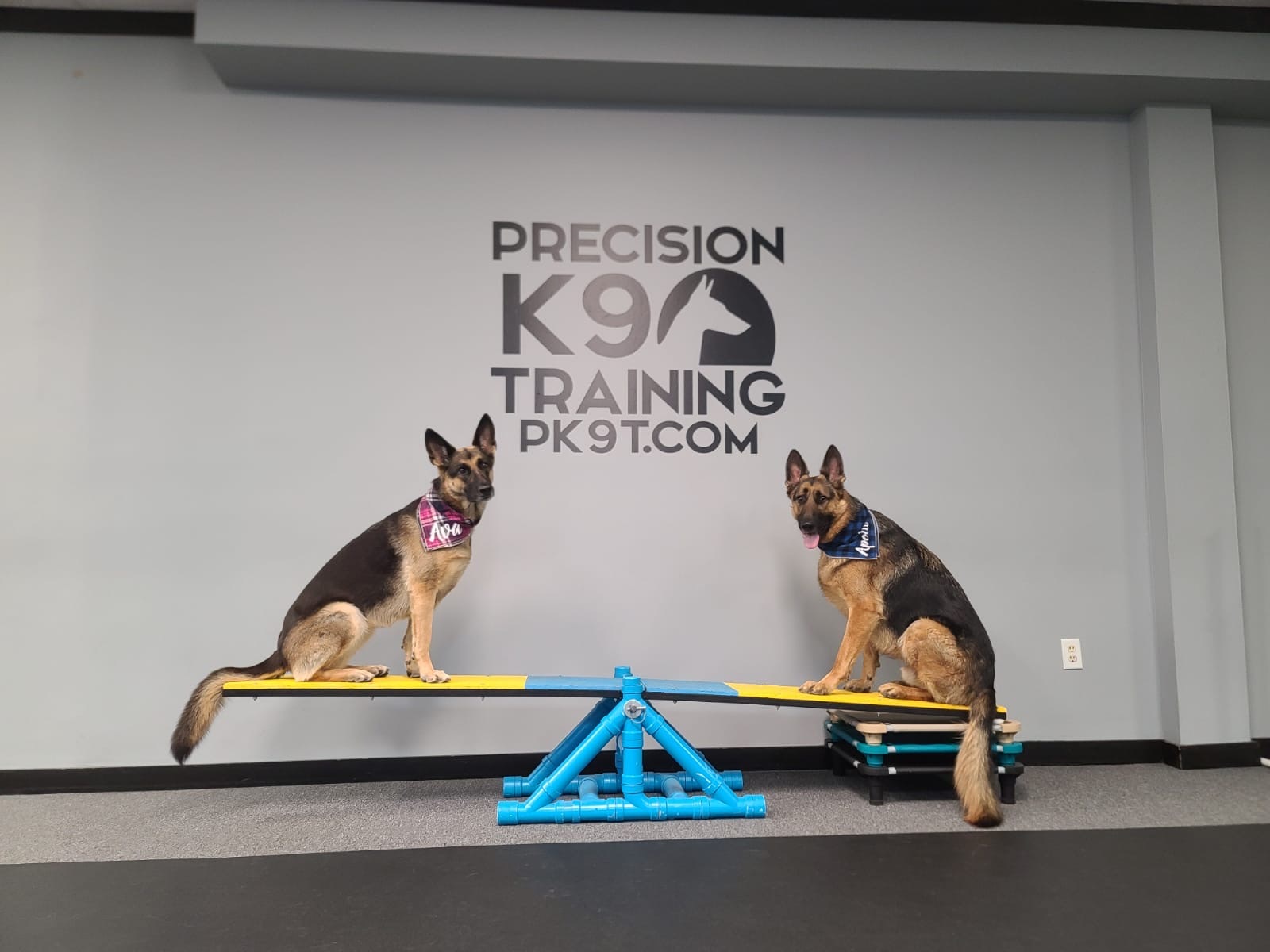 agility (3)