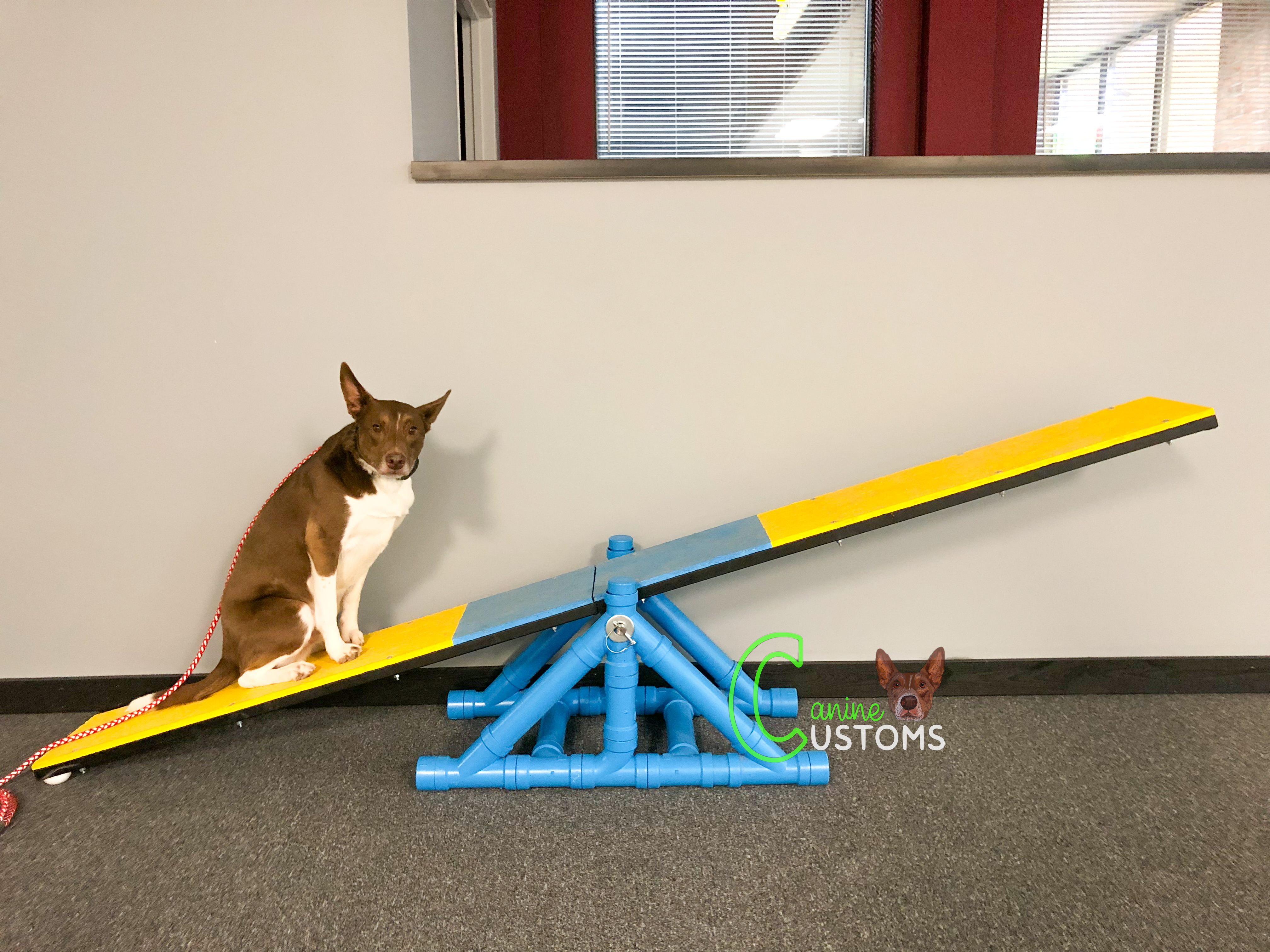 agility (30)