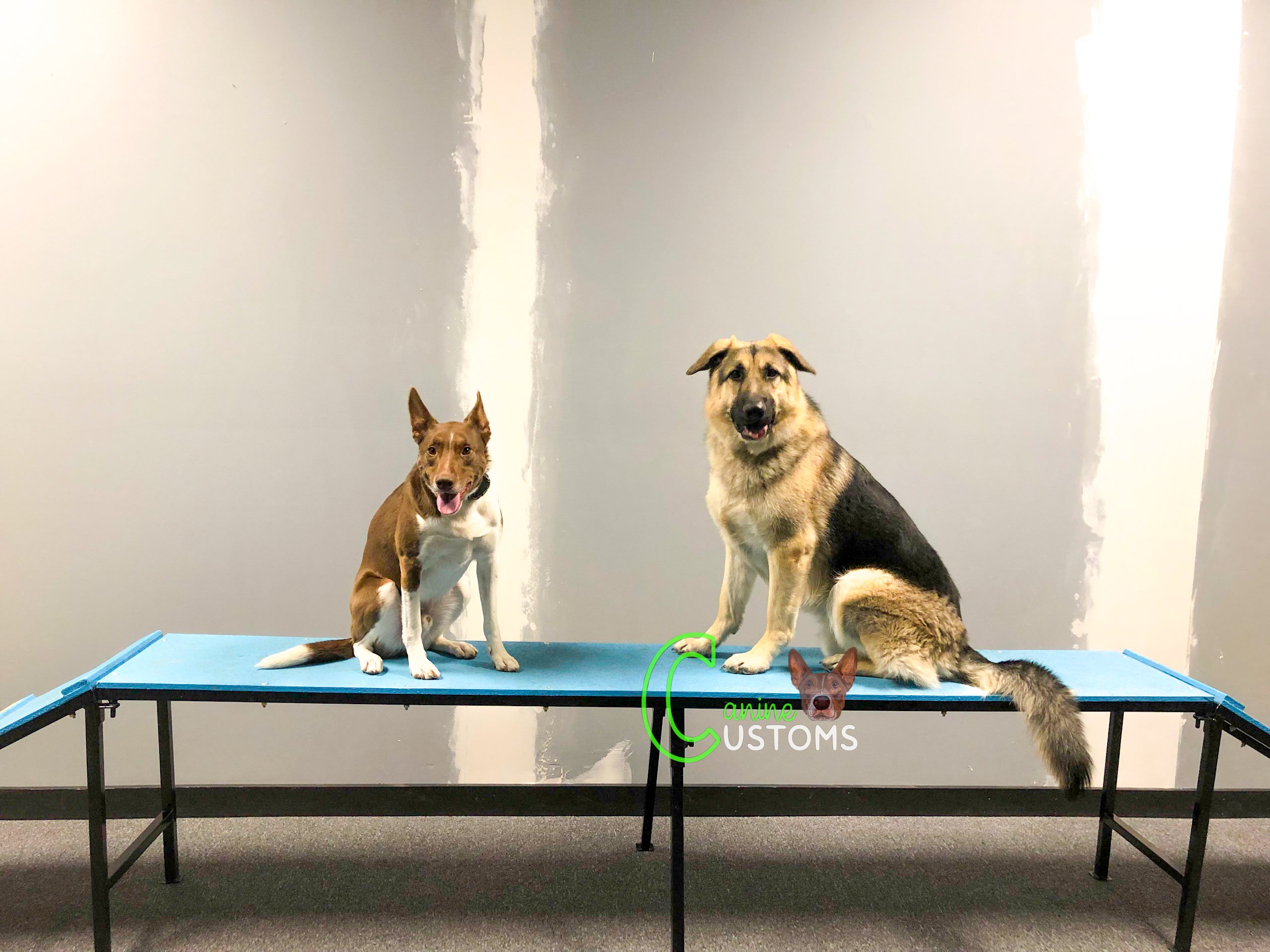 agility (31)
