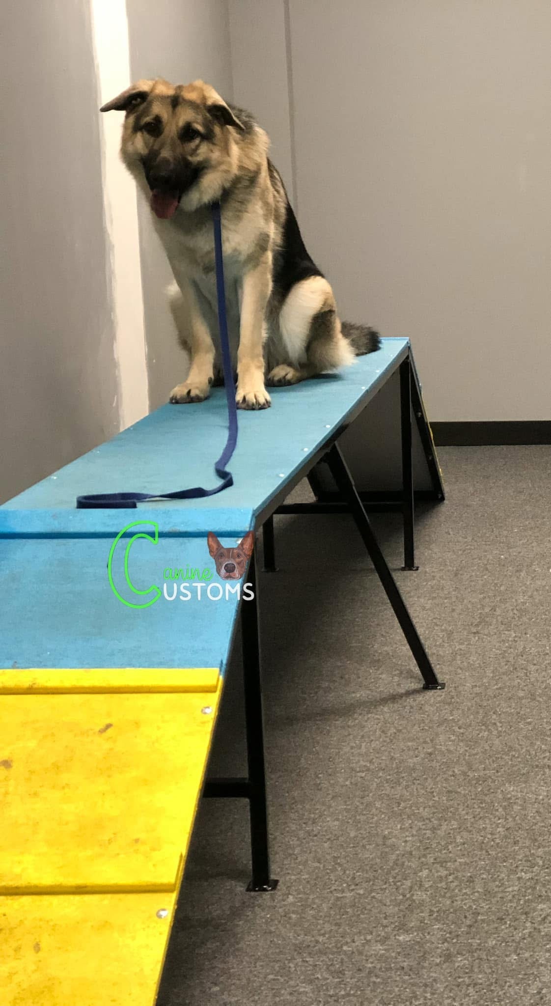 agility (32)