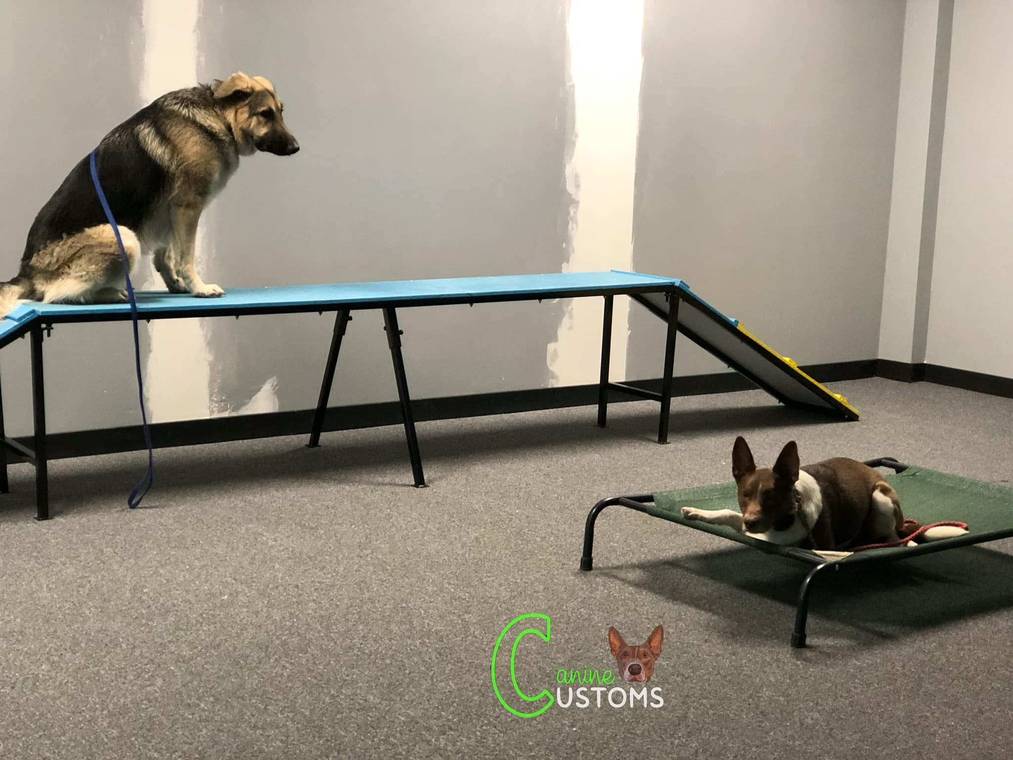 agility (34)