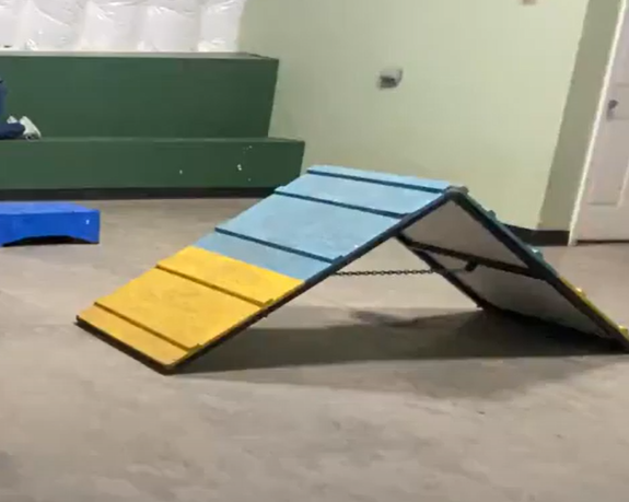 agility (6)